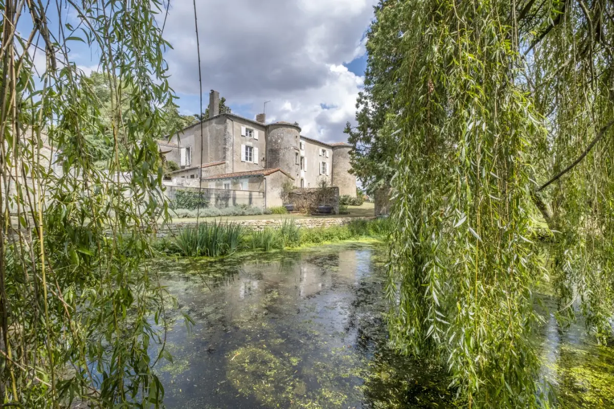 Chateau La Chuteliere - image 40