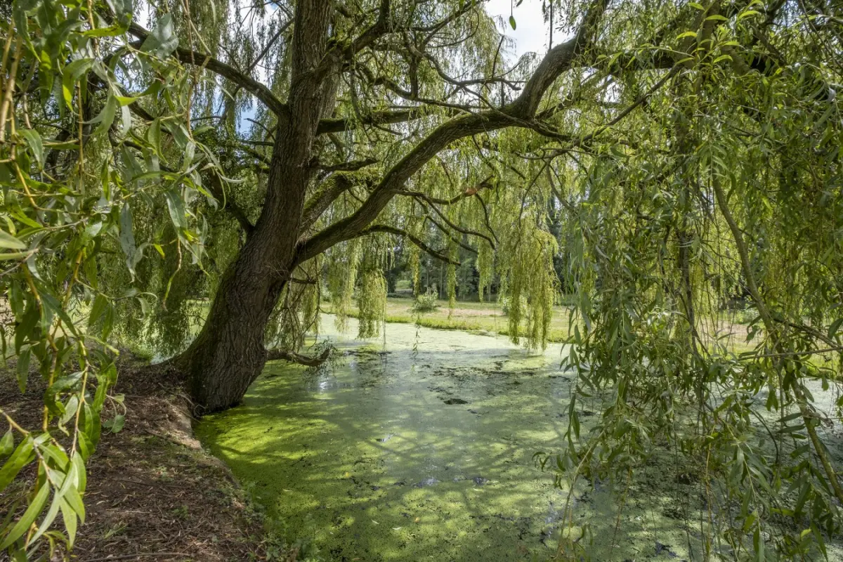 Chateau La Chuteliere - image 41