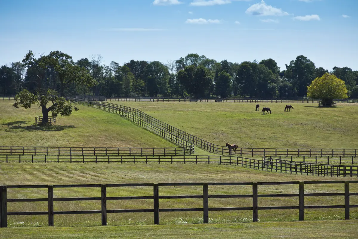 Martley Hall Estate by Group Retreats