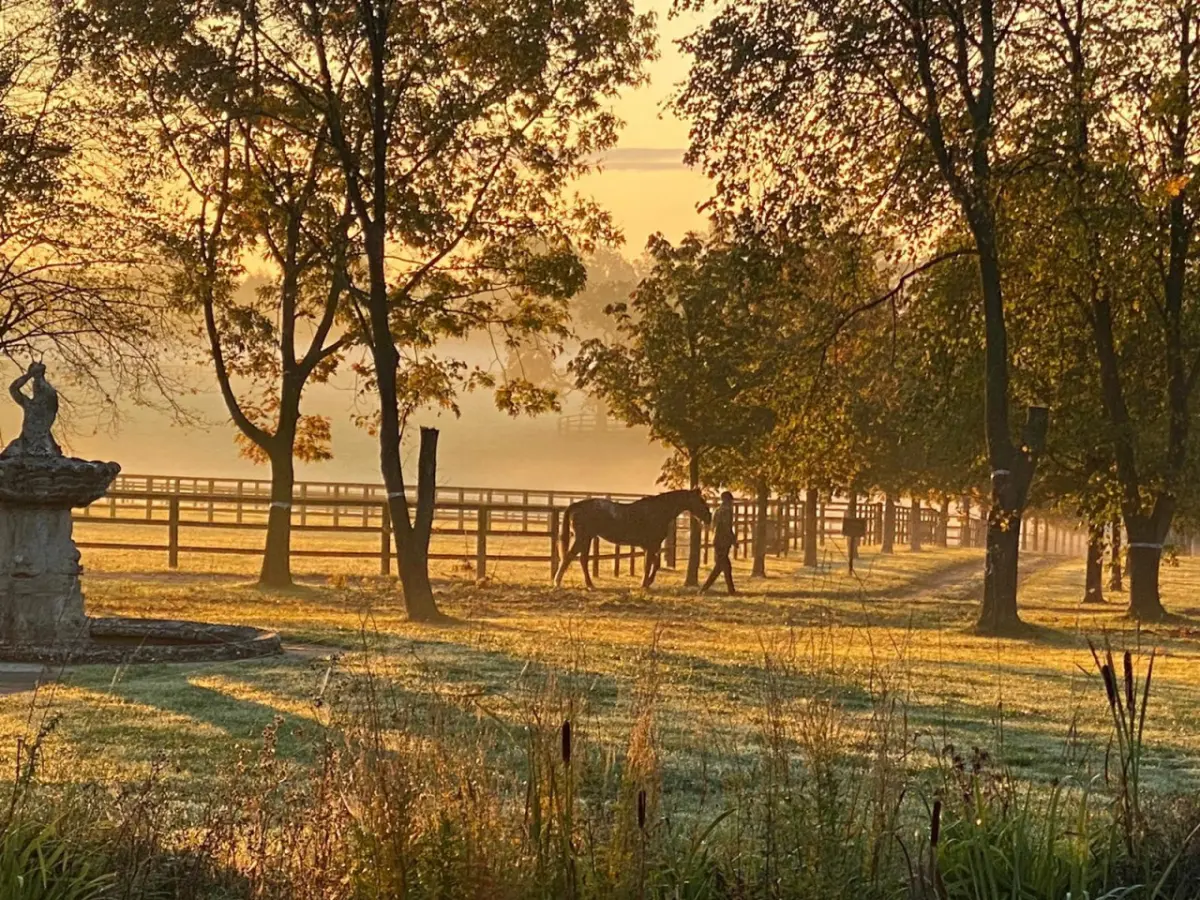 Martley Hall Estate by Group Retreats