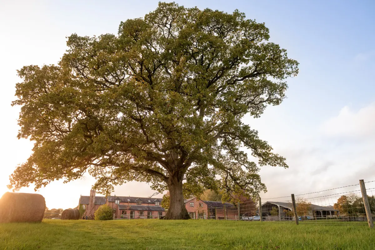 Marshwood Manor Cottages by Group Retreats